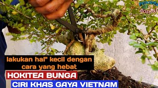 Transformasi hoki bunga mirib gaya bonsai vietnam