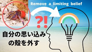 自分の思い込みの殻を外す【ブロック解除瞑想】remove a limiting belief meditation