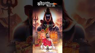 Mahashivratri Special Hits II Surapura Dham Bholad