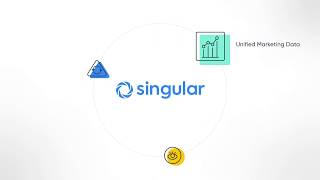 Singular Product Explainer (15 seconds)