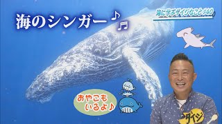 【海に学ぶダイジなこと！】▼宮古島を越えて沖縄本島・与那国島へ！▼ハンマーな生き物と海の「シンガー」♪