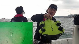 수중 드론으로 쭈꾸미 포인트 촬영 해봤습니다 ! 4K 고화질/대사리 물때 Webfoot octopus underwater drone shooting