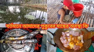 সংসার জীবন মানেই অনেক দায়িত্ব অনেক কষ্ট ।। বর্তমানে আমাদের পুকুরের অবস্থা কেমন ।। Village life