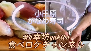 【小田原市成田　かなめ寿司】驚きのお昼のAランチ🍣MR幸坊食べロケチャンネル