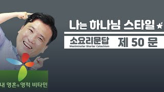 영적 비타민 \