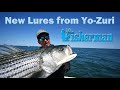 New Yo-Zuri Lure Test - Montauk Stripers and Blues