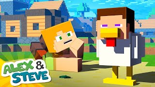 STEVE THE CHICKEN - Alex and Steve Life (Minecraft Animation)