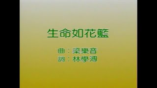 风格群星 - 生命如花篮【金曲老歌 卡拉OK流行榜】