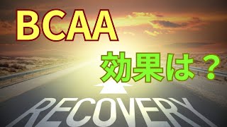 【BCAA最新研究】驚くべき効果！分岐鎖アミノ酸の真実を科学的に解説