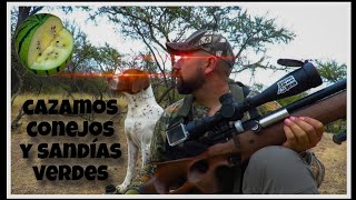 HUNTING and COOKING of rabbits CHILE 2025 | HUNTING and COOKING of rabbits CHILE 2025