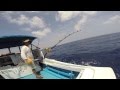 Roque Tayaba Jr (One Man Solo Live Bait Marlin Action) 2015 #35