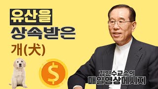 김인수 교수의 매일영상메시지 / 2024년 10월 1일 / 유산을 상속 받은 개(犬)