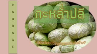 กะหล่ำปลี(Cabbage) มีประโยชน์ต่อสุขภาพของคุณอย่างไรบ้าง???????