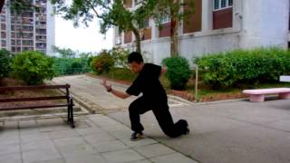 八極拳（小八極）Baji Quan