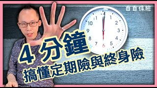 4分鐘搞懂定期險與終身險｜保險科普#9