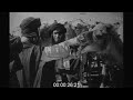 Camel Sales in Morocco, 1940s - Archive Film 1066808