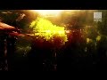 Wildlife - Ingo Herrmann - Deluxe Lounge TV