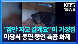 [글로벌K] “겨울잠 좀 자고 갈게요”…미국 가정집 마당서 동면중인 흑곰 화제 / KBS  2023.01.12.