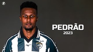 Pedrão Deserves to be Seen in 2023!