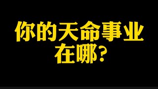 【准提子说八字易学】你的天命事业在哪里？