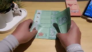 (Bahasa Malaysia) ASMR Kira duit | No talking | Malaysia | Cash Budgeting