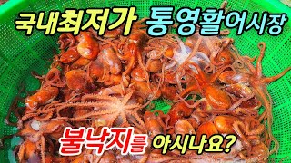 ♧통영활어시장의 생생현장~ 국내최저가를 자랑할만큼 가격대박! 보기드믄 수산물까지~ 엄청나네요