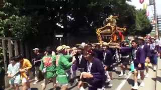 平成27年 羽田神社「羽田祭り」本社神輿全町内渡御。