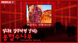 구글에 피 흘리는 나무를 검색하면 생기는 일 [절검단]