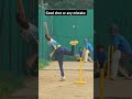 Bacche ki gajab batting #cricket #india #shiv #cricketlover #cricketshorts #shorts #short #live #usa