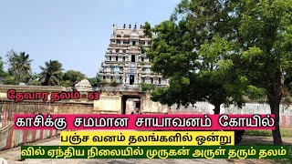 காசிக்கு சமமான சாயவனம் கோயில் / Chayavaneswarar temple / Sayavanan @Indiatempletour