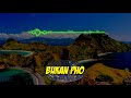 Bukan PHO - New Remix TIKTOK [ DXZE ]