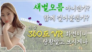 제주도 VR 여행-새별오름편[2019여행/제주도여행/VR/vrtrip/360/koreatrip/jejuisland/济州岛/旅行/VERILOG】