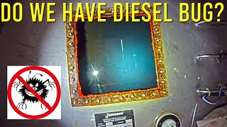 Do we have diesel bug? - Sailing A B Sea (Ep.114)