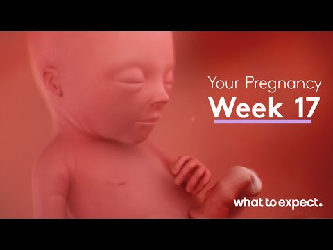 What is a normal fetal heart rate at 17 weeks?