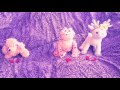 "Perfect Illusion" Valentine's Day Webkinz MEP