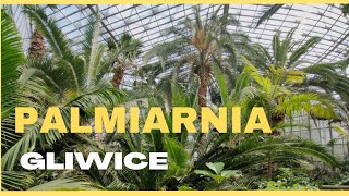 PALMIARNIA Gliwice🌴The Palm house Poland