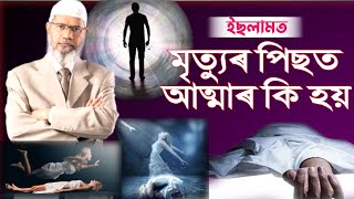 মৃত্যুৰ পিছত আত্মাৰ কি হয় | What happens after death in ISLAM | Zakir Naik best ans