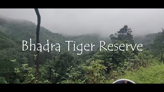 Bhadra Tiger Reserve 2 🐅🐯 Bababudangiri to kemmannugundi #nature #offroad #hills #chikmagalur