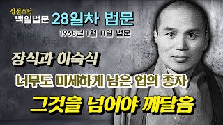 [날짜별 백일법문] 28일차 법문 \