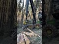 how does the harvester 1270g process trees johndeere love machine viral tree wood harvester