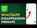 How to WhatsApp Disappearing Message 2025?
