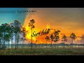 sam feldt ochtendgloren mixtape