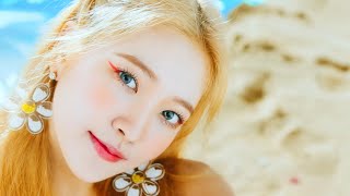 [PLAYLIST] 통통튀는 걸그룹 플레이리스트 🏖🌊 | 둘리2LEE