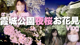 【お花見】やっぱここは最強に綺麗すぎる！ライトアップされた桜を見に霞城公園でお花見してきたよ〜！Vlog【山形】