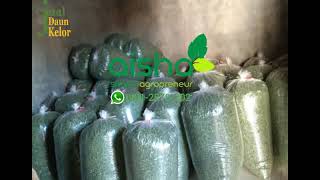 Hub 0811 2878 202, harga jual daun kelor, harga serbuk daun kelor, harga tepung daun kelor