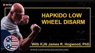 Hapkido Low Wheel Disarm with KJN James Hogwood, PhD. USA Hapkido Union, Inc. Vice President