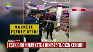 Eşek giren markete 4 bin 545 TL ceza kesildi!