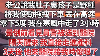 【完结】老公說我肚子裏孩子是野種，將我使勁拖拽下車 丟在高速，零下5度 我在寒風中走了3小時,暈倒前看見員警被送到醫院，隔天醒來 我直接走進產科，3天後 他來醫院接我時傻眼了【爽文】【爱情】【豪门】