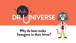 Why Do Bees Make Hexagons In Their Hives