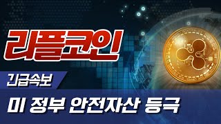 [ 리플코인 ] 미 정부 안전자산 / xrp